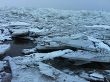 Берег Финского залива покрыли пятиметровые торосы